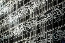 Pablo BAILLEUL - Bailleul