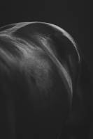 Paul PINTARD - PINTARD PHOTOGRAPHIE