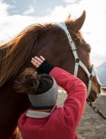 Adrien BORGNA - ADRIEN BORGNA