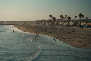 César TRESCA - 213 MEDIA